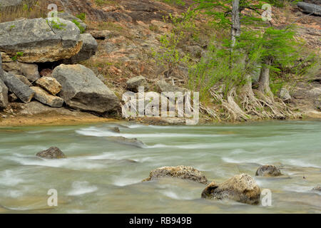 Pedernales River in spring with cypress trees, Travis County, Texas, USA Stock Photo