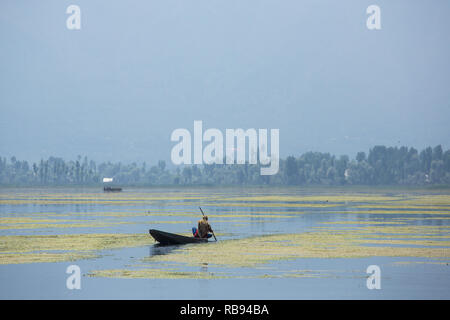 Traditional shikara boat on the Dal lake in Srinagar, Kashmir, India. Stock Photo