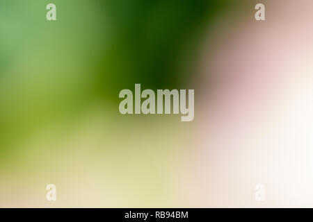 mottled green pink and white abstract colours Stock Photo