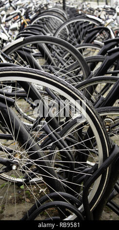 Typical bicycles parked in Holland, transport detail in the city, tourism in europe Stock Photo