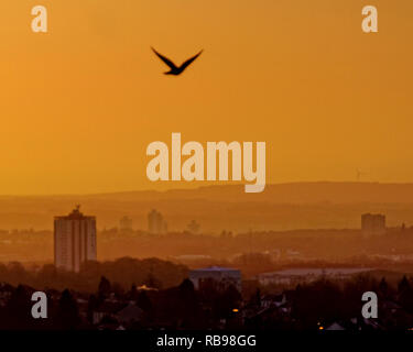 Glasgow, Scotland, UK, 8th January, 2019. UK Weather: Sunny dawn  day over the south of the city as it  glows in the warm light.  Credit Gerard Ferry/Alamy Live News Stock Photo