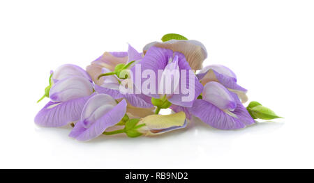 Clitoria ternatea or Aparajita flower isolated on white background Stock Photo