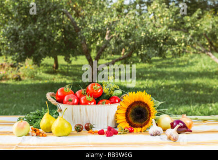 Various ripe seasonal vegetables in composition on white table cloth covered table outdoors in home garden. Metal basket filled with tomatoes, blurred Stock Photo