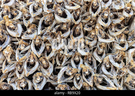 Closeup macro view at stockfish, texture background, Lofoten Islands, Norway Stock Photo