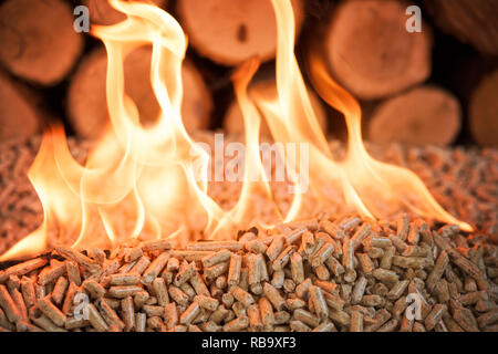 Oak pellets in flames - fire and pile of wood Stock Photo