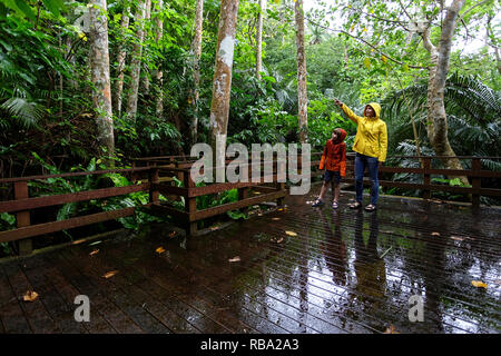 Mother and son in rain jackets looking at palm tree top on the trail at Yonehara palm tree grove, Ishigaki, Japan Stock Photo