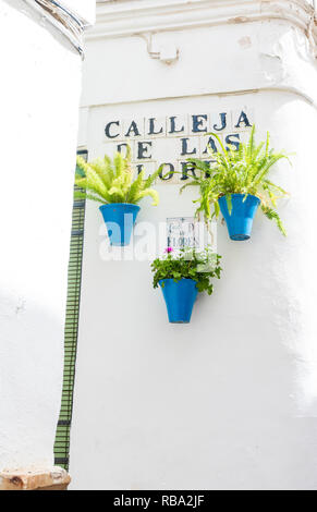 Hanging flowerpots on white walls of buildings, Calleja De Las Flores, Cordoba, Andalusia, Spain Stock Photo