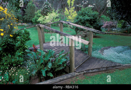 SMALL TIMBER BRIDGE, TREES AND SHRUBS (CENNA, CERASTEUM) IN A COUNTRY GARDEN IN NEW SOUTH WALES, AUSTRALIA Stock Photo