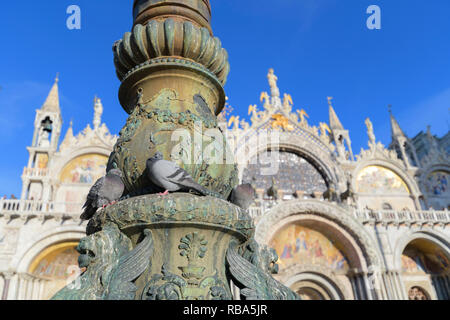 Pigeon on lantern in front of Basilica of San Marco, Venice, Venetian Lagoon, Veneto, Italy Stock Photo