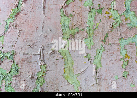 Old painted concrete wall covered with cracks texture background Stock Photo