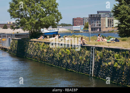 The Netherlands, Amsterdam, Ferns on quay wall near Stenen Hoofd, IJ river. People sunbathing. Stock Photo