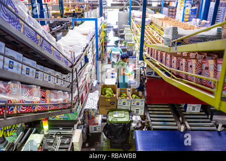 Tenerife, Spain - January 3, 2018 : Banana factory packaging line in Tenerife, Canary islands Spain  Stock Photo