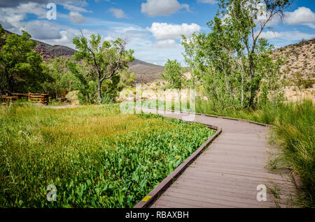 Boardwalks along Calico Basin in Red Rock Canyon National Conservation Area Stock Photo