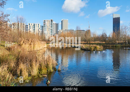 Wetlands Walk in Queen Elizabeth Olympic Park, Stratford, London UK, with apartments at East Village Stock Photo