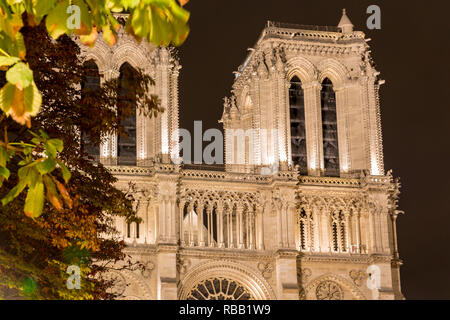 summertime at Notre dame cathedral in Paris Stock Photo