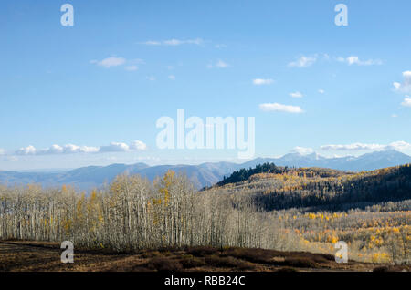 Guardsman Pass and Aspens at Peak Color, Park City, Utah in the Colorado Rocky Mountains Stock Photo