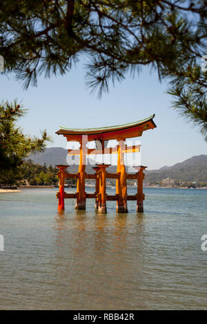 The Great Torii gate at Miyajima Island near Hiroshima in Japan Stock Photo