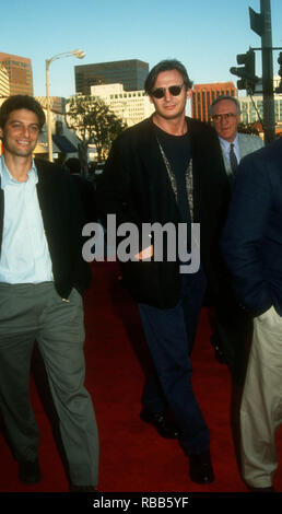 WESTWOOD, CA - JULY 29: Actor Liam Neeson attends Warner Bros. Pictures' 'The Fugitive' Premiere on July 29, 1993 at the Mann Village Theatre in Westwood, California. Photo by Barry King/Alamy Stock Photo Stock Photo