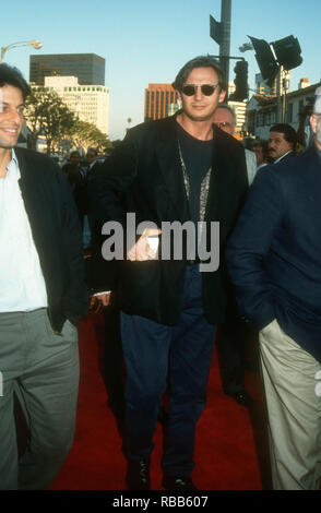 WESTWOOD, CA - JULY 29: Actor Liam Neeson attends Warner Bros. Pictures' 'The Fugitive' Premiere on July 29, 1993 at the Mann Village Theatre in Westwood, California. Photo by Barry King/Alamy Stock Photo Stock Photo