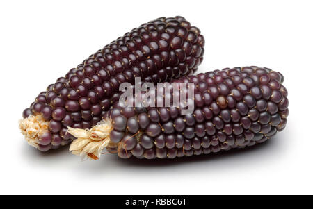 Purple corn isolated on white background Stock Photo