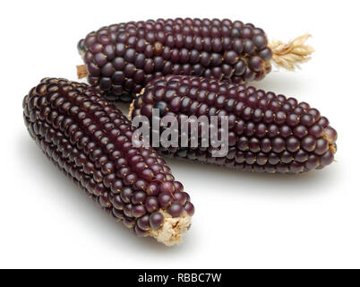 Purple corn isolated on white background Stock Photo