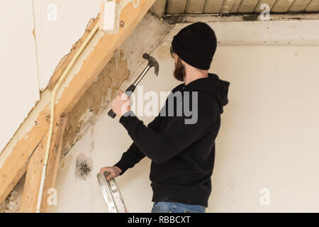 Handyman standing on a ladder and renovating a home, using tools like a hammer Stock Photo