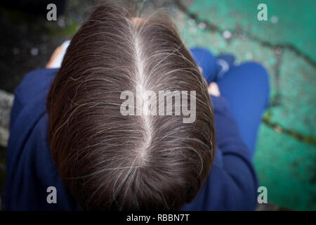 View of womans hair from above included several grey hairs Stock Photo