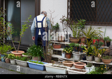 Elderly man in Tokyo tending plants outside an apartment Stock Photo