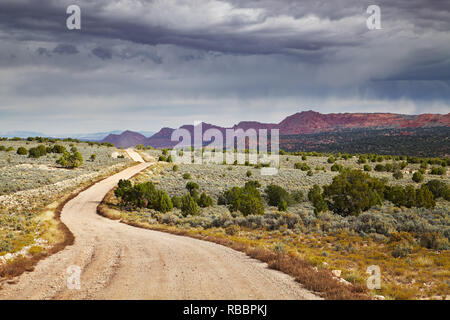 House Rock Valley road in Utah and Arizona desert, USA Stock Photo