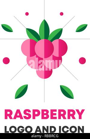 Abstract red raspberry isolated on orange background. Vector ...