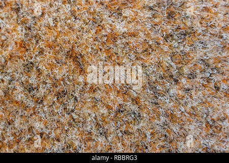 Synthetic carpet textile texture background close up Stock Photo