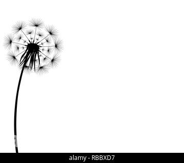 Silhouette of a flowering dandelion Stock Vector