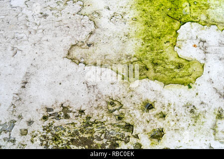 Green moss and rust on metal surface with patterns and cracks - high quality texture / background Stock Photo