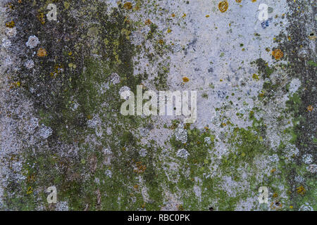 Green moss and rust on metal surface with patterns and cracks - high quality texture / background Stock Photo