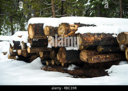 Stack of Snow Covered Logs Cut for Forest Fire Prevention - December in the Sierra Nevada Stock Photo