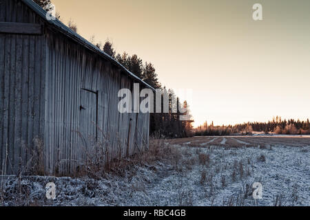 A barn house with two doors stands by the frosty fields on a winter morning at the Northern Finland. The sun rises behind the forest. Stock Photo