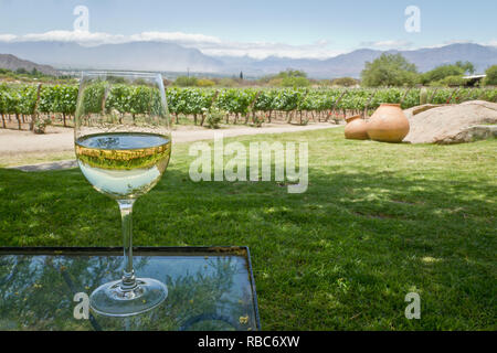 White wine glass in front of vineyards Stock Photo
