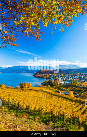 Spiez Castle and vineyards, Berner Oberland, Switzerland Stock Photo