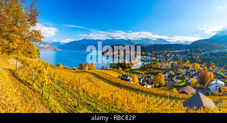 Spiez Castle and vineyards, Berner Oberland, Switzerland Stock Photo