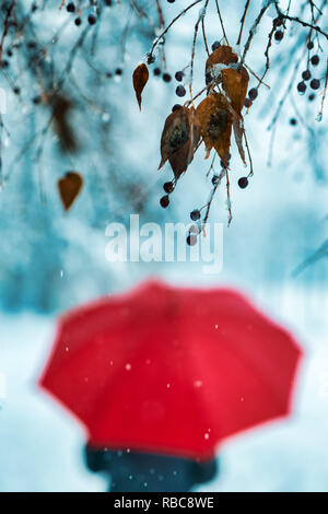 Walking in wintertime, sad and alone woman under red umbrella walking in park Stock Photo