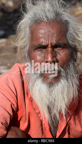 Senior grey-haired bearded Indian man stares directly at the camera, Pushkar, Rajasthan, Western India, Asia. Stock Photo