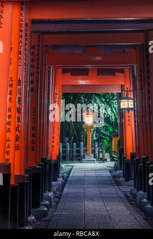 Fushimi Inari-taisha shrine, Fushimi ward, Kyoto, Kyoto prefecture, Kansai region, Japan. Torii gates tunnel. Stock Photo