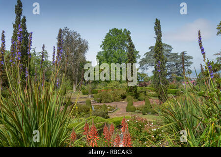 Botanical garden, second year of grammar school Th Palheiro, Funchal, Madeira, Portugal, Botanischer Garten, Quinta do Palheiro Stock Photo