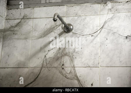 Dirty shower with cobwebs, unhygienic bathroom Stock Photo