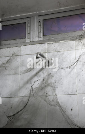 Dirty shower with cobwebs, unhygienic bathroom Stock Photo