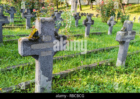 The military cemetery in Cluj, Romania, with rose bushes among the tombstones Stock Photo