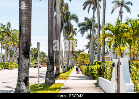 Hollywood, USA - May 6, 2018: City town street during sunny day in Florida east coast in North Miami Beach with people walking on sidewalk by row of t Stock Photo