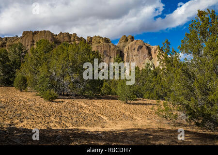 Inscription Rock with pinyon-juniper forest and biological soil crust in the foreground, El Morro National Monument, New Mexico, USA Stock Photo
