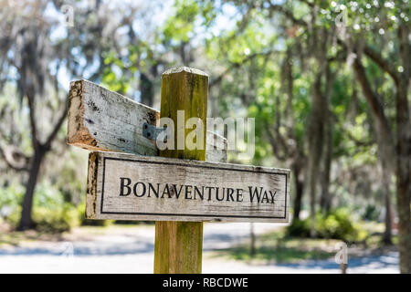 Closeup of way sign on street road landscape with oak trees and trail path in Savannah, Georgia famous Bonaventure cemetery Stock Photo