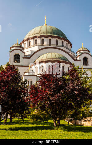 Belgrade, Serbia - June 09, 2013: Famous Saint Sava church exterior facade architecture surrounded by vibrant red leaves trees in Belgrade, Serbia Stock Photo